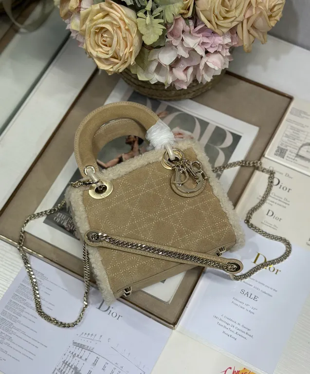 Dior Bag 